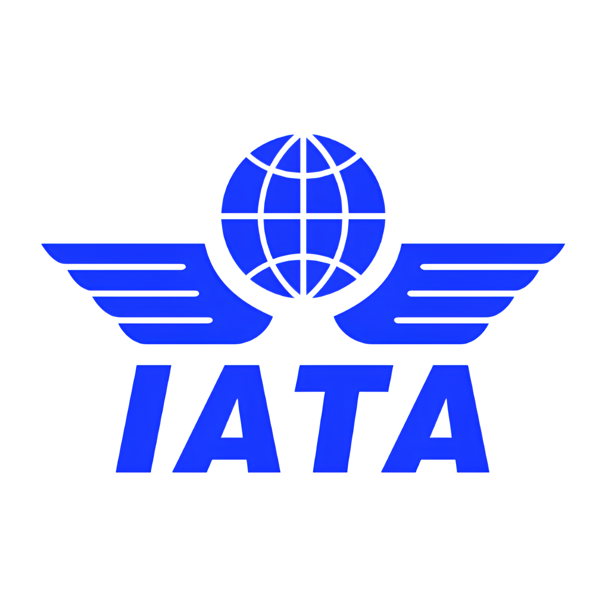 International Airport Transport Association (1)